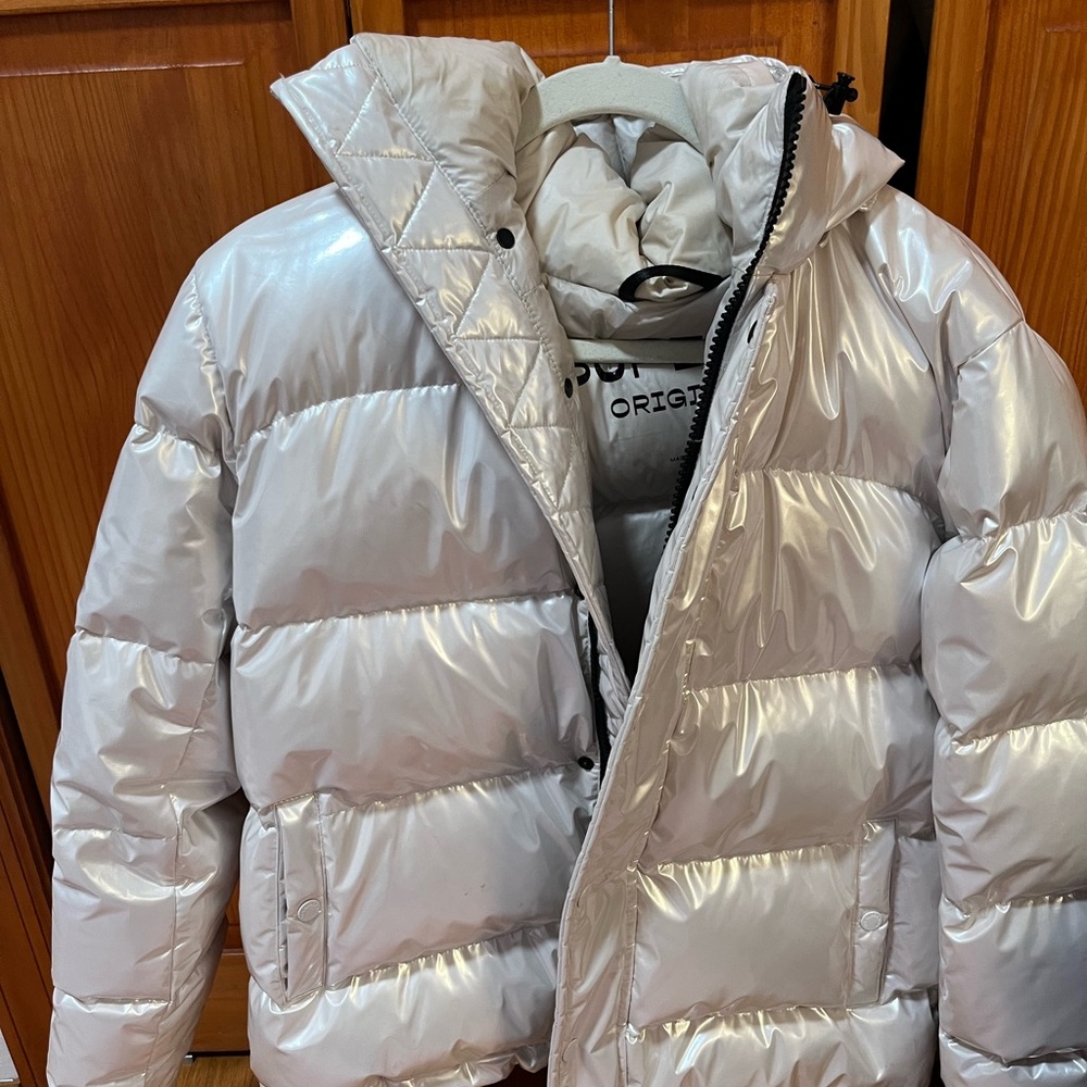 Aritzia Silver Puffer Jacket